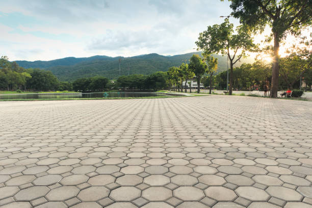Best Residential Paver Driveway  in Mountain Home Af, ID